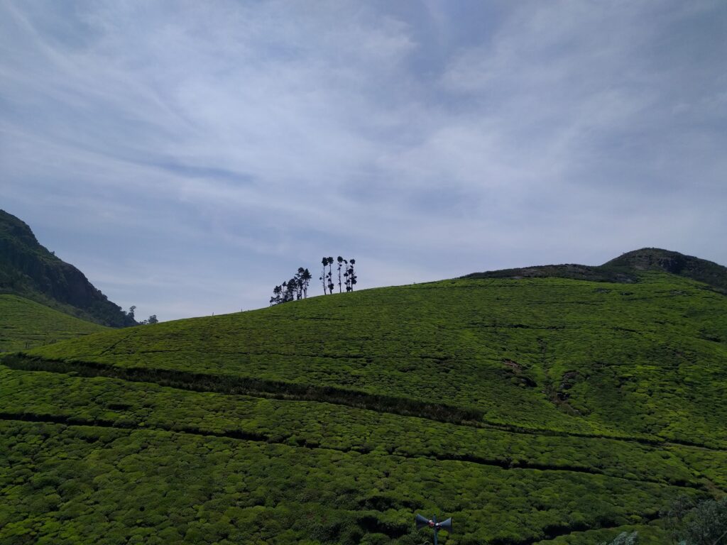 Holiday Talkies - Drive From Ooty to Coonoor 3