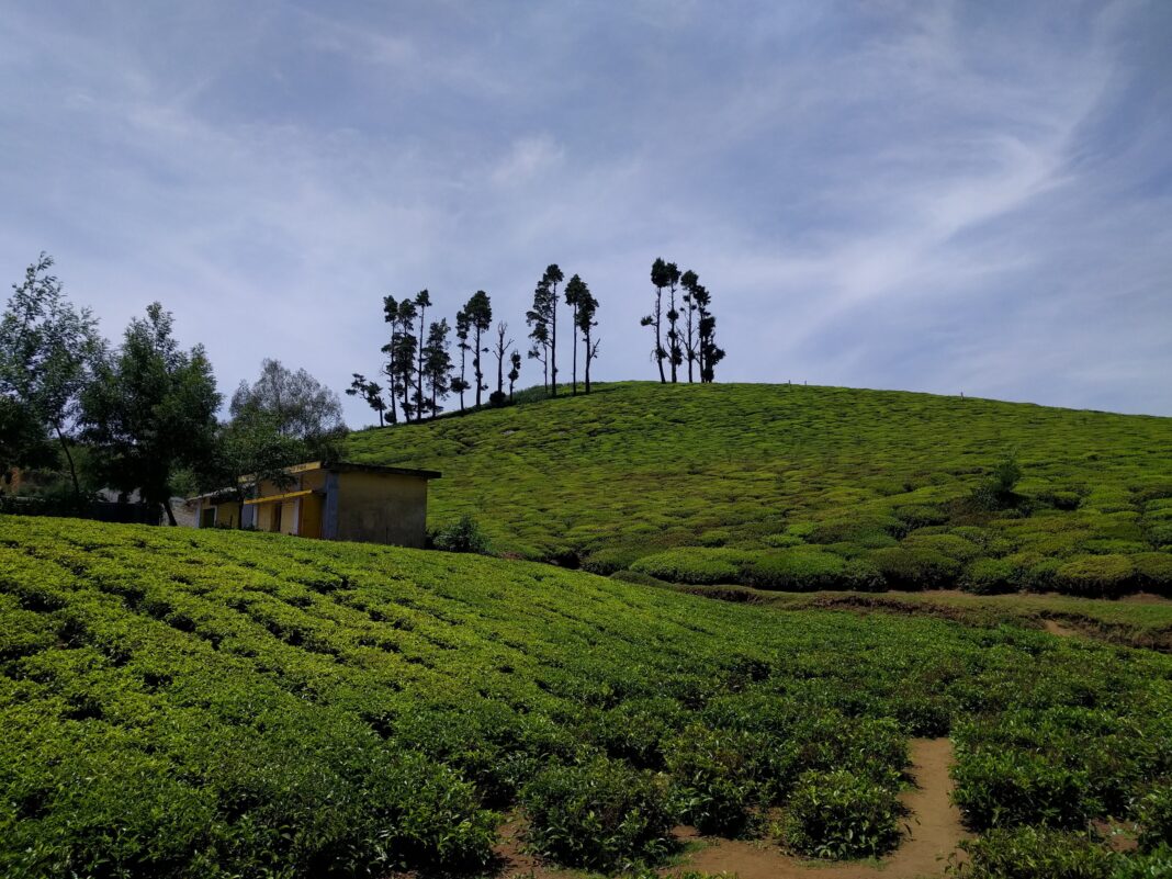 Holiday Talkies - Drive From Ooty to Coonoor 4