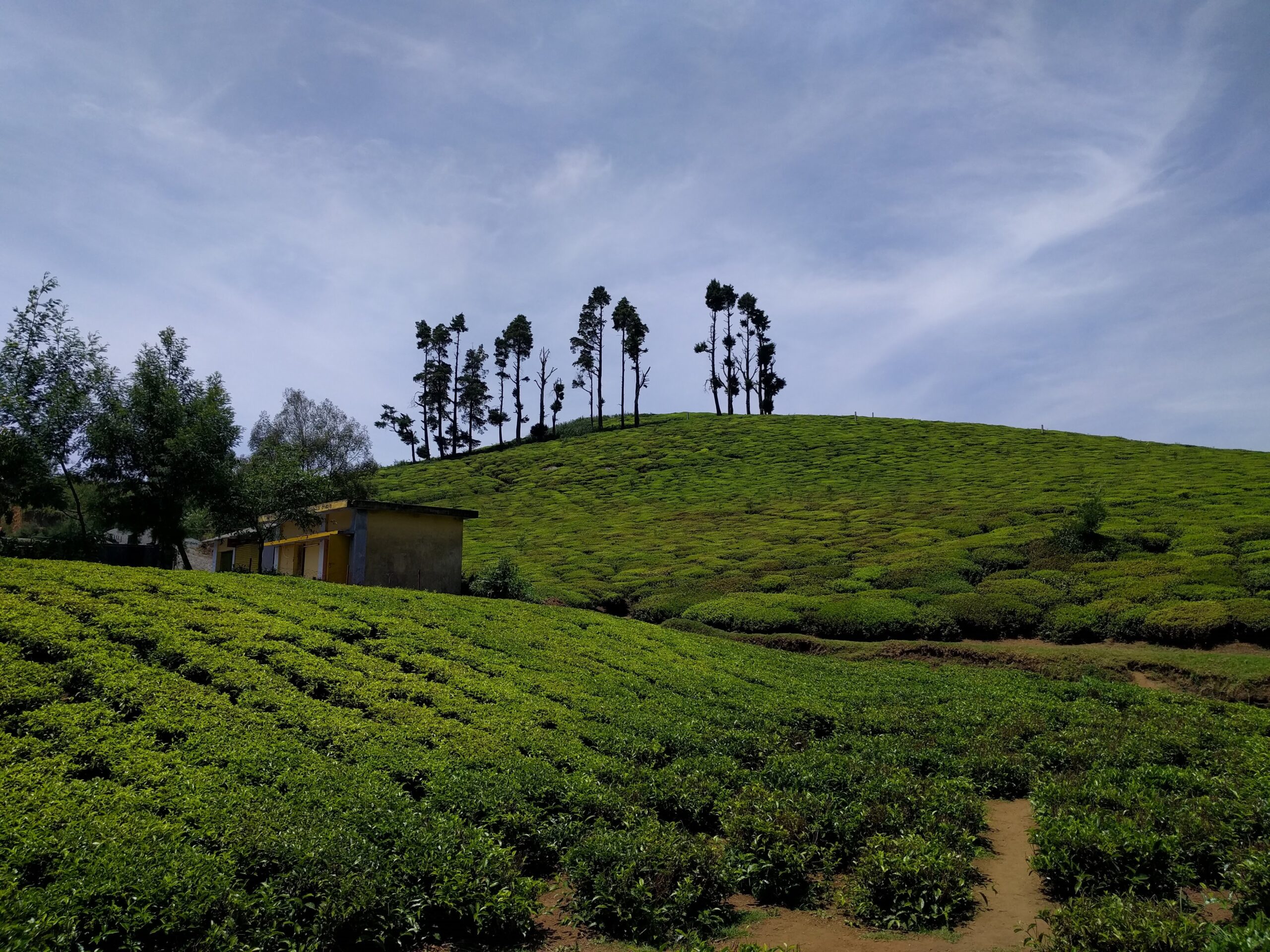 An Hour Of Scenic Drive From Ooty To Coonoor