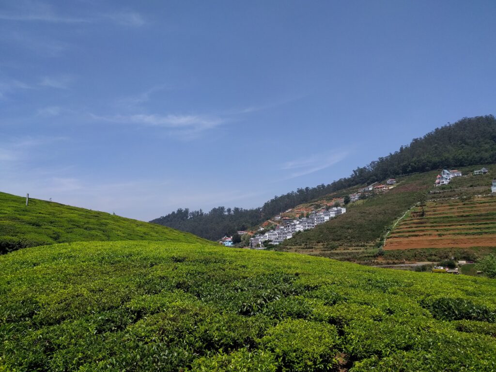 Holiday Talkies - Drive From Ooty to Coonoor 5