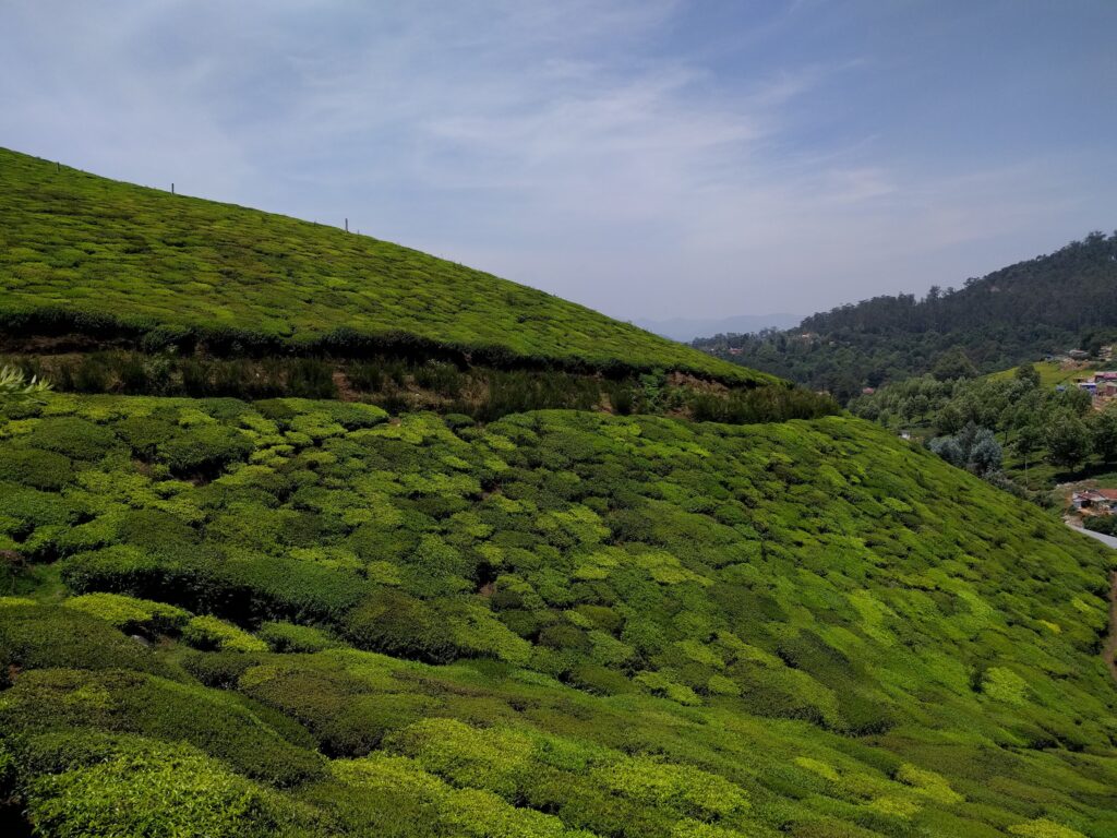 Holiday Talkies - Drive From Ooty to Coonoor 6