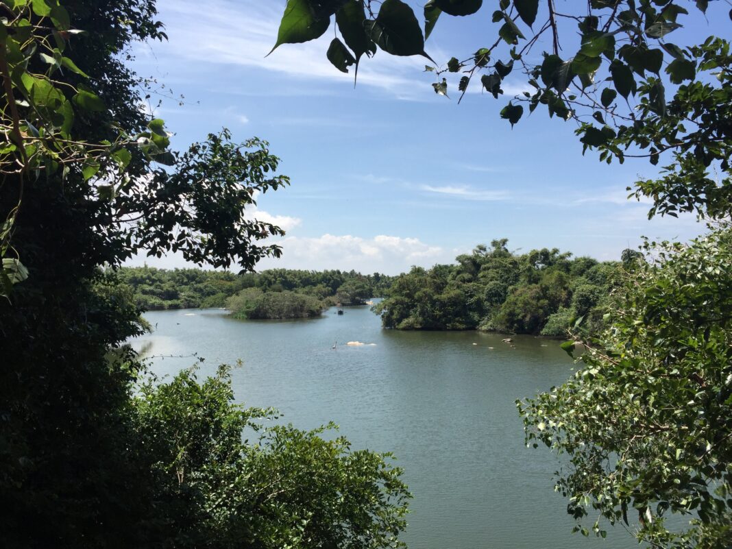 Holiday Talkies - Ranganathittu Bird Sanctuary - Mysore 2