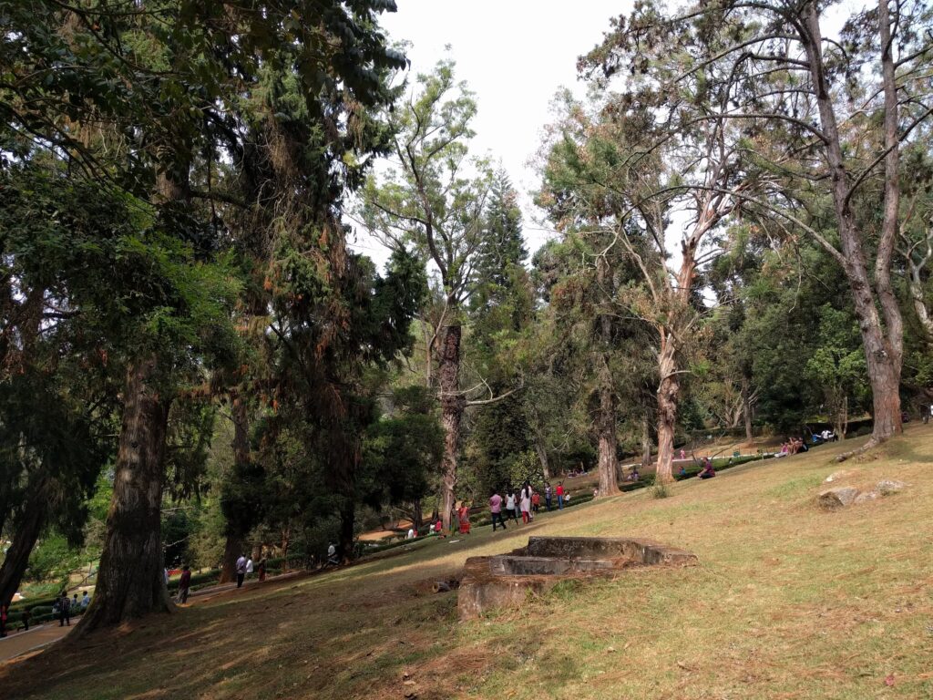 Holiday Talkies - Sims Park Coonoor 6